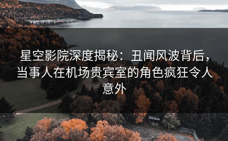 星空影院深度揭秘:丑闻风波背后,当事人在机场贵宾室的角色疯狂令人意外