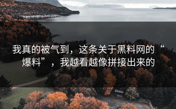 我真的被气到，这条关于黑料网的“爆料”，我越看越像拼接出来的